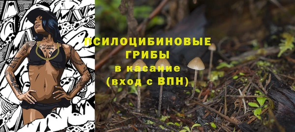 спиды Абинск