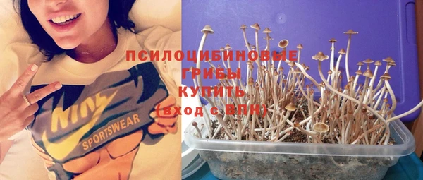 спиды Абинск
