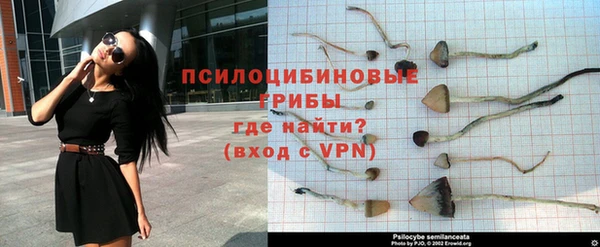 спиды Абинск