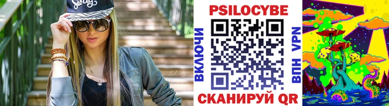 где можно купить наркотик  Керчь  Псилоцибиновые грибы GOLDEN TEACHER 
